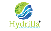 Hydrilla